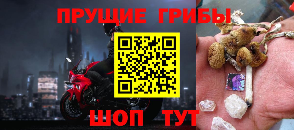 Кисловодск  Псилоцибиновые грибы MAGIC MUSHROOMS  Вход с VPN 